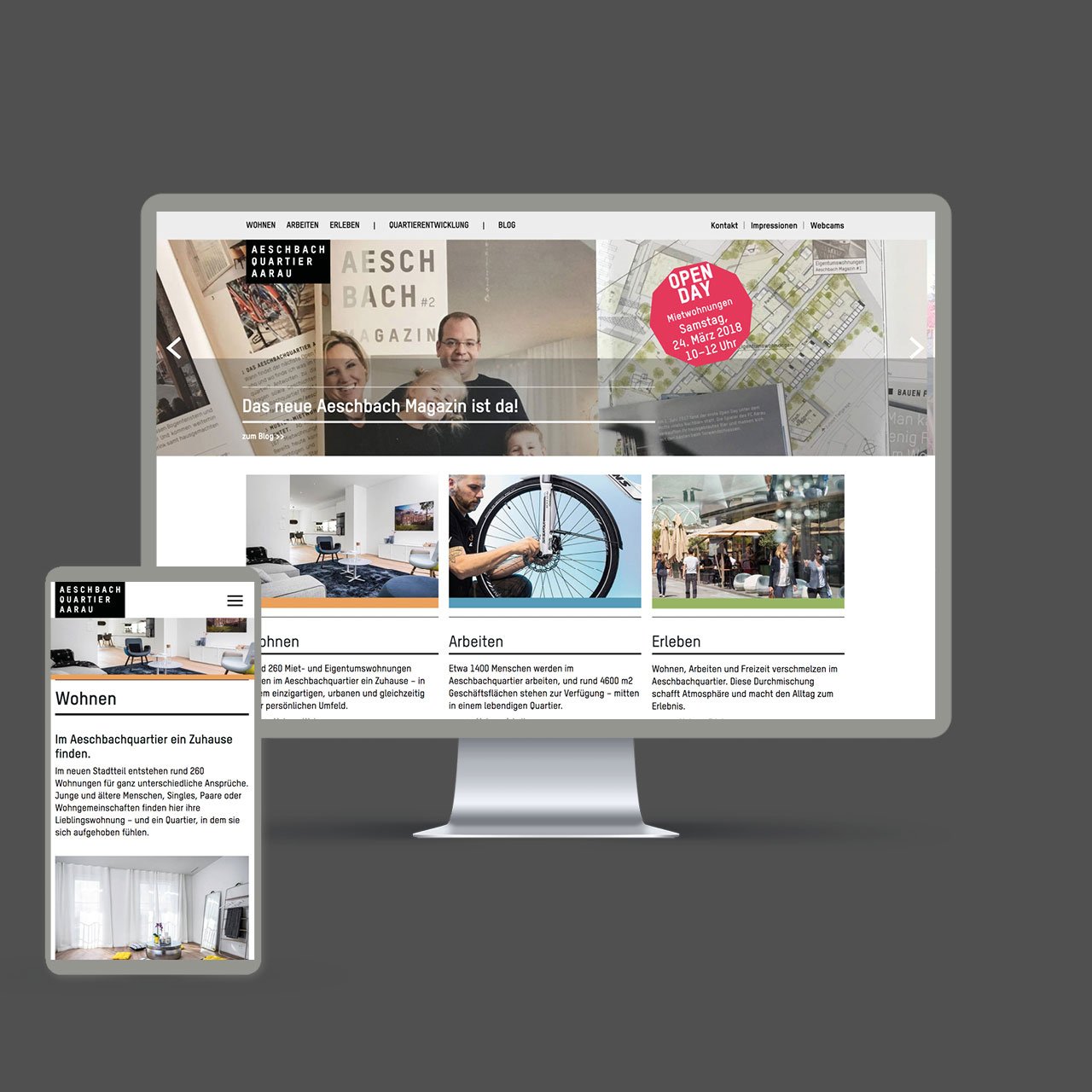 Aeschbachquartier Aarau by Mobimo AG: Website