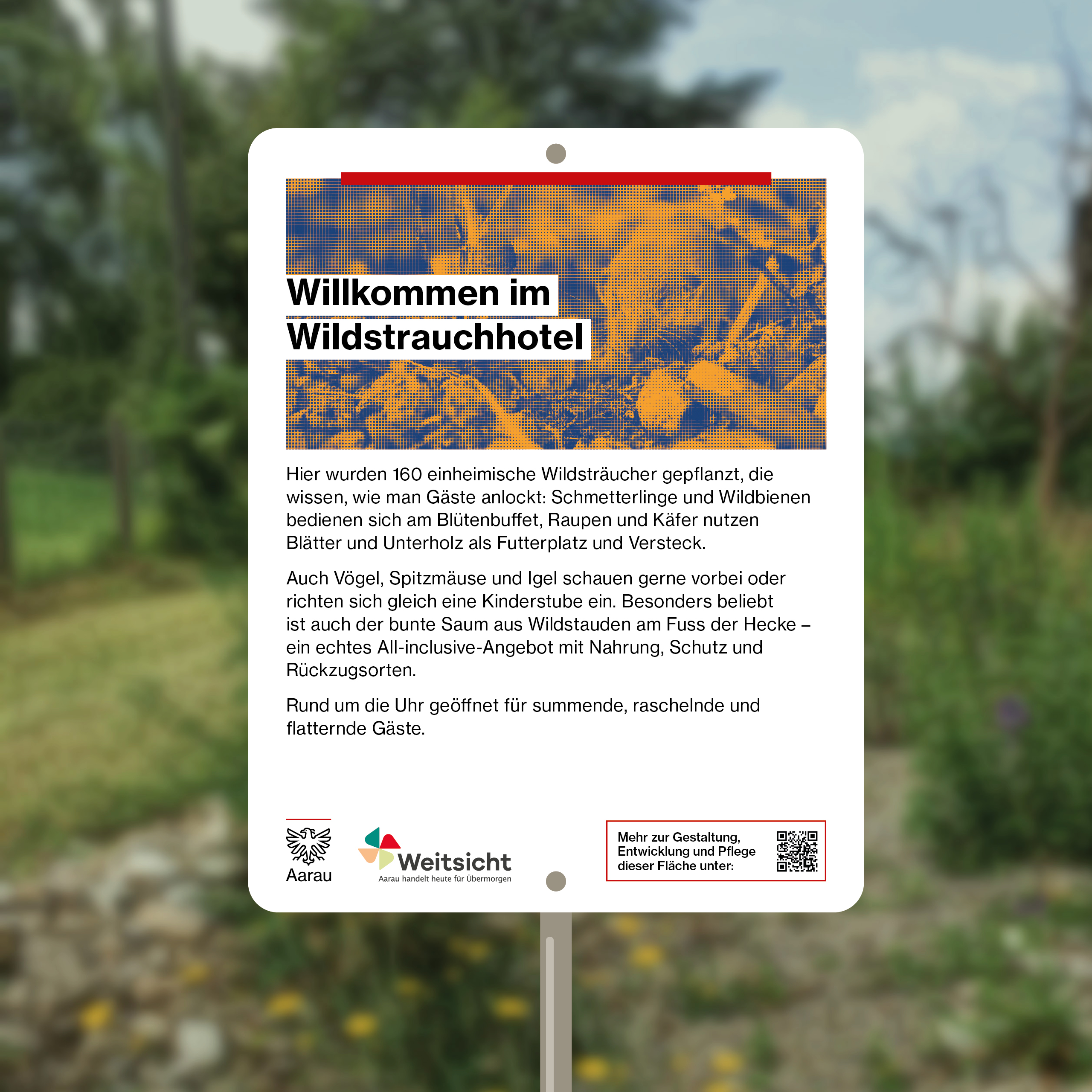 Stadt Aarau – Kommunikationskampagne «Weitsicht»