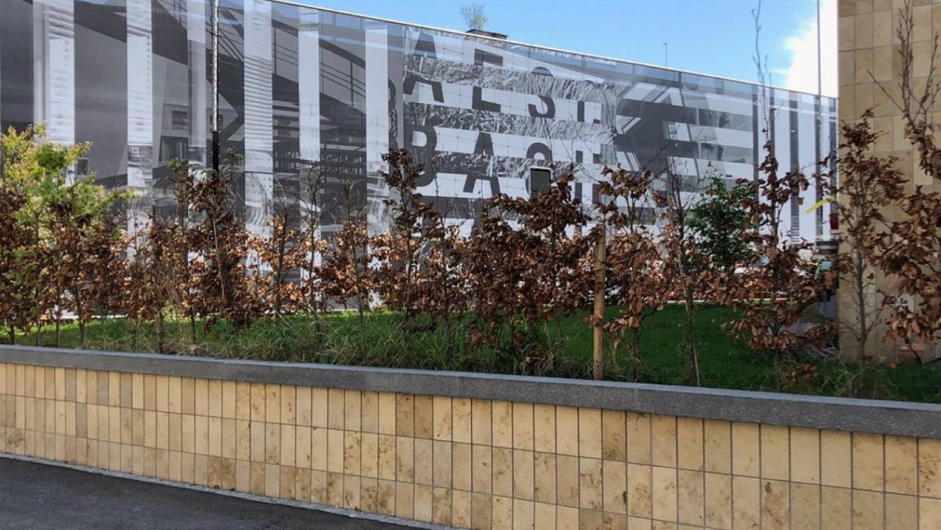 Aeschbachquartier Aarau: Parkhauswand