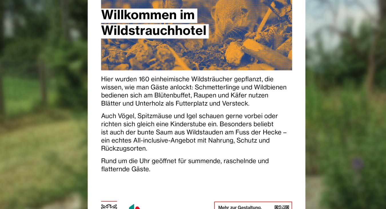 Stadt Aarau – Kommunikationskampagne «Weitsicht»