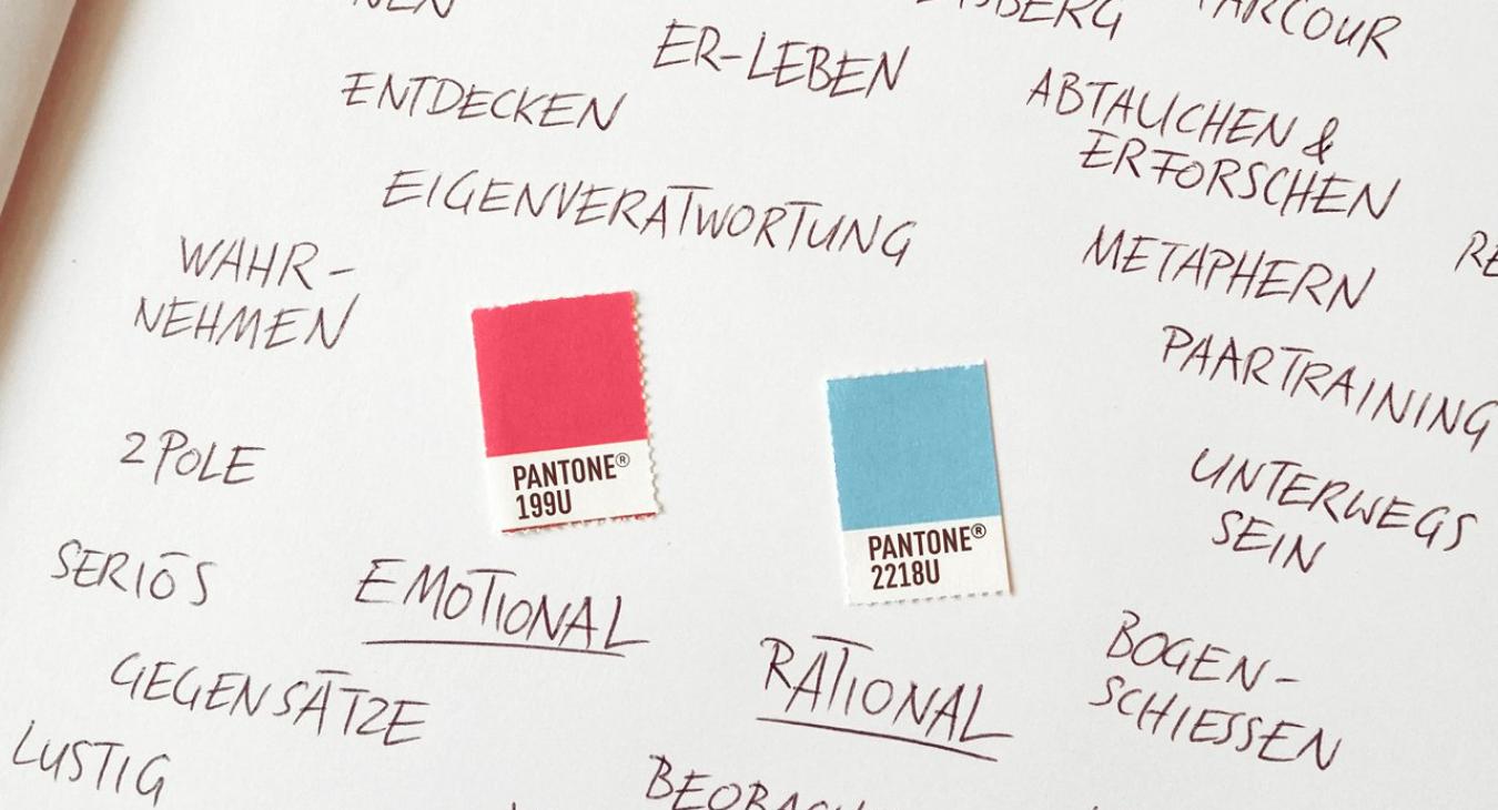 N-iceberg Strebel: Neuer Firmenauftritt