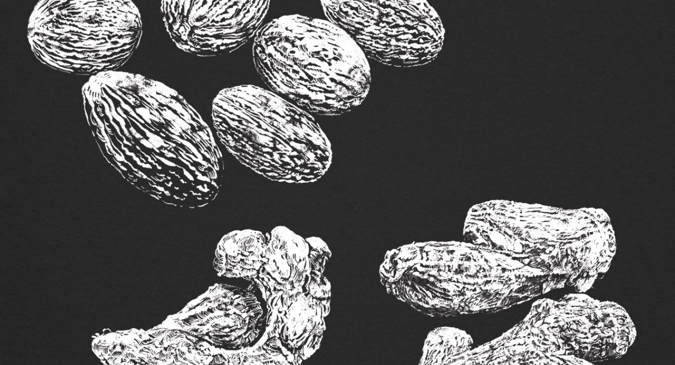 Sultan und sein Restaurant Halde