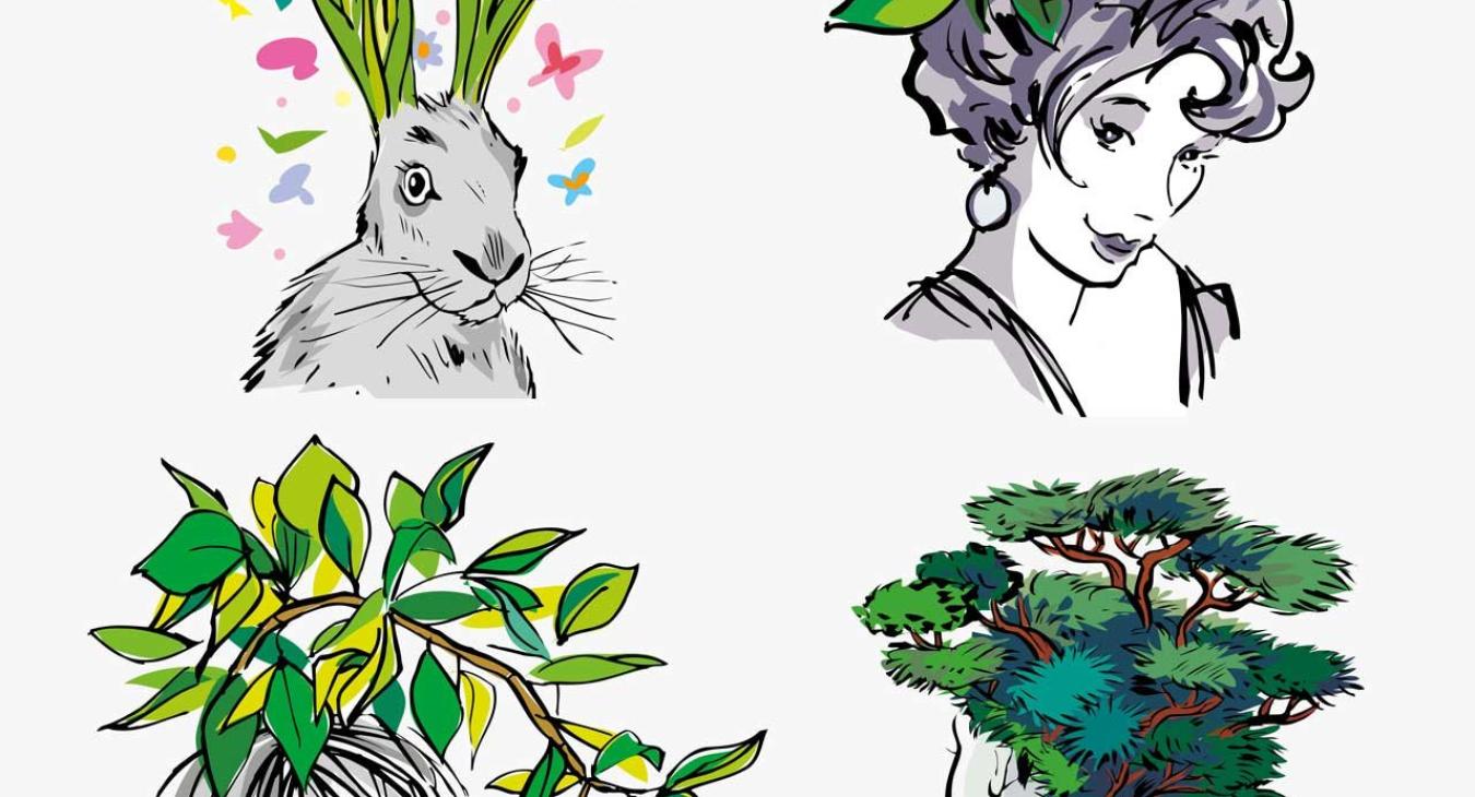 Zulauf AG: Bildkonzept