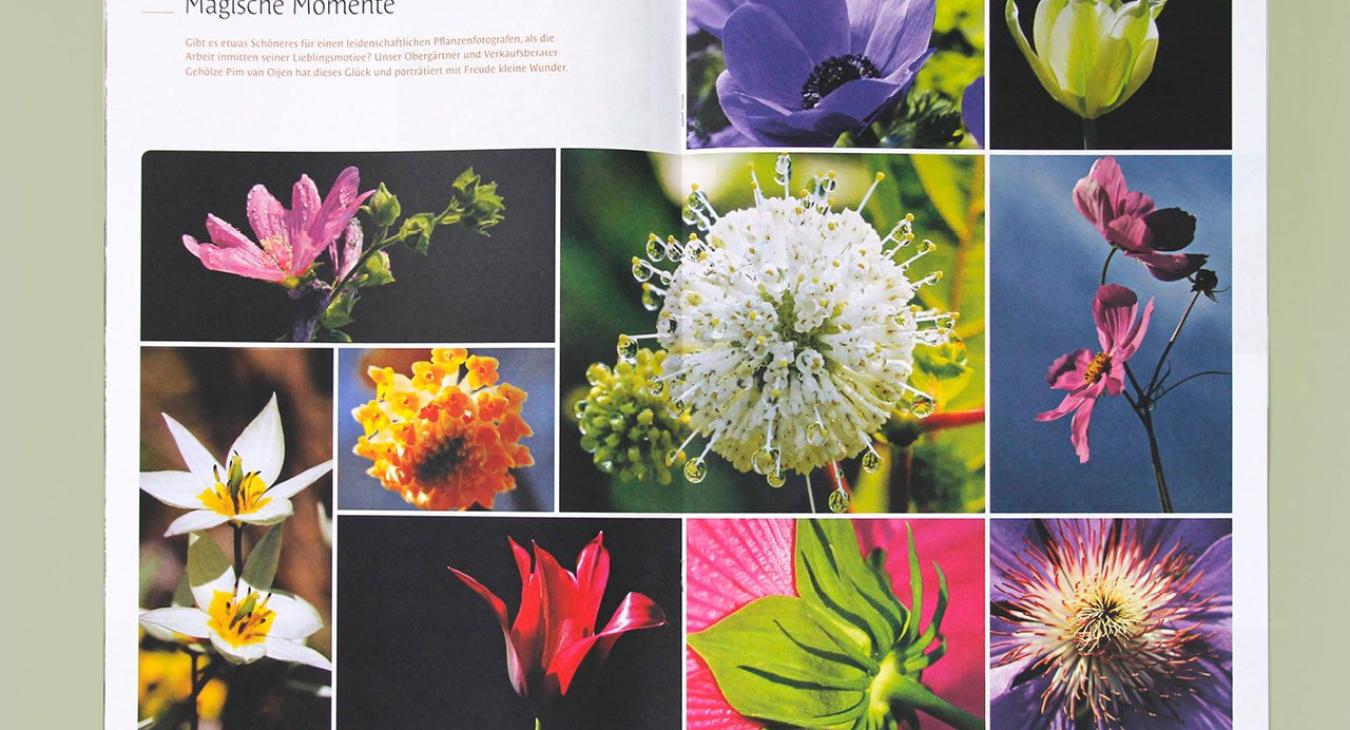 Zulauf AG: Kundenmagazin «Grüne Quelle»