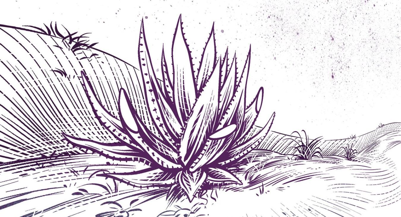 Social Input – Neujahrskarte