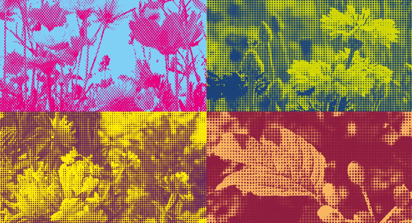 Stadt Aarau – Kommunikationskampagne «Weitsicht»