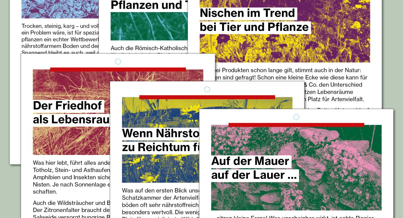 Stadt Aarau – Kommunikationskampagne «Weitsicht»