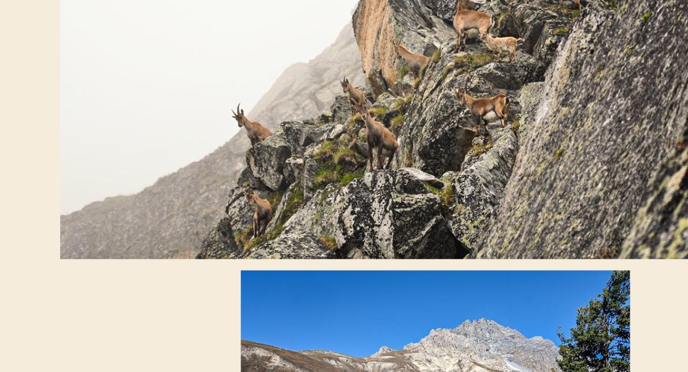 Drogaria Stadler – Fotografie / Bildkonzept