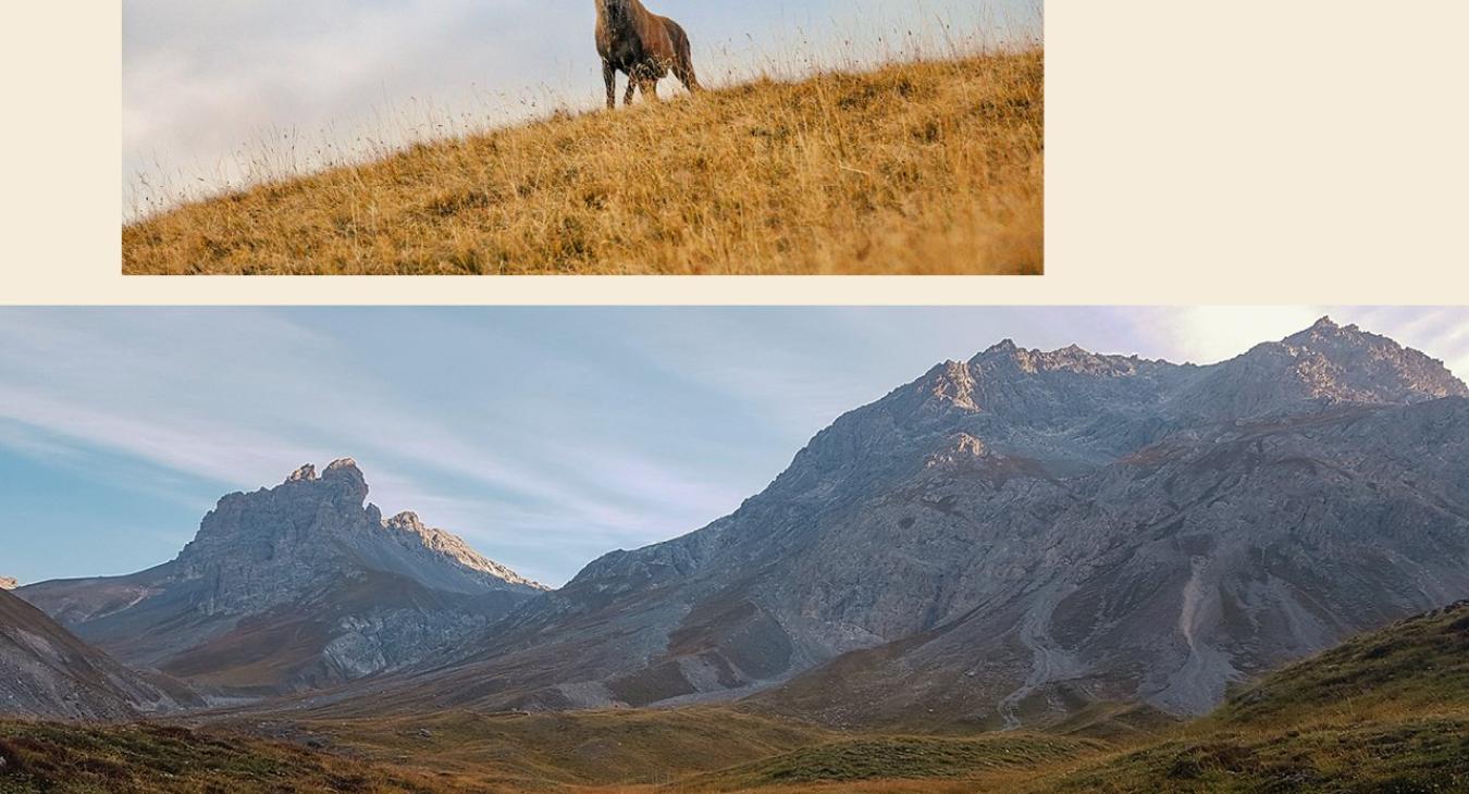 Drogaria Stadler – Fotografie / Bildkonzept