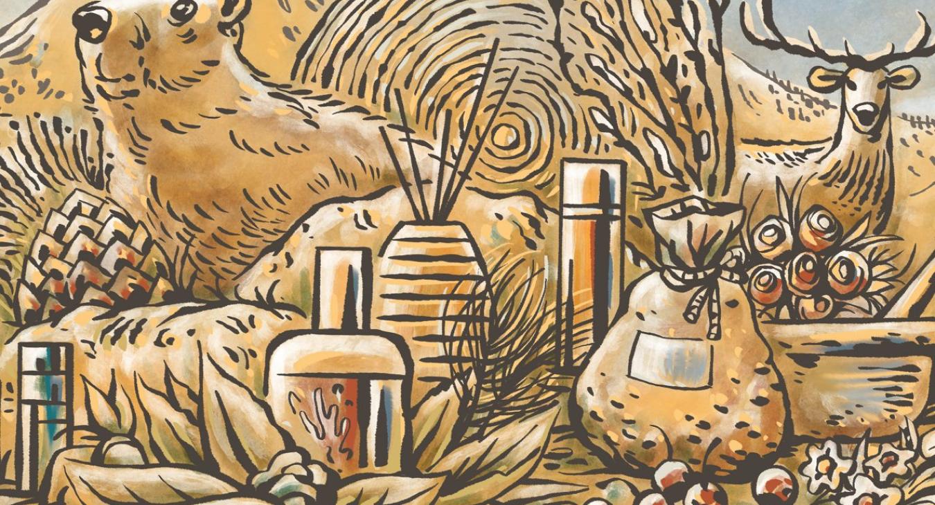 Drogaria Stadler - Illustration / Bildkonzept